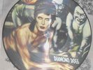 David Bowie 2007 Unofficial UK Picture Disc Diamond Dogs INTS 5068-P