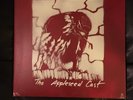 appleseed cast peregrine test press 2LP graveface William Schaff # 28/50