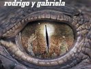 Rodrigo Y Gabriela - Rodrigo Y Gabriela Vinyl LP + CD NEU 0553402