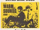 WARM SOUNDS Birds And Bees RARE Denmark 45 UK psych garage Deram stunning  HEAR