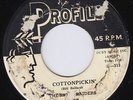 NIGHT RAIDERS Cottonpickin BERZERK rockabilly garage 45 Hidi Hidi MICKEY HAWKS