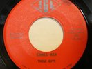 THOSE GUYS sinner man / you're gonna leave me 45 on IGL --- iowa garage psych