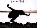 Eddie Vedder - Into The Wild [Vinyl New]