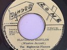 RIGHTEOUS FLAMES - SLAVING IN BABYLON - DANGER ZONE ( ROOTS REGGAE 7 )