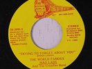 MAD LADS: Trying To Forget About You / You Blew It 45 Soul