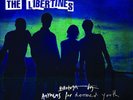 The Libertines 