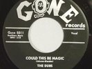 HEAR IT 50's Doo-Wop 45 rpm record The Dubs 