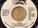 SKIP MAHONEY modern soul disco 45 Janice   Salsoul promo northern soul VG+ 70s