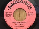 PURPLE SNOW   Down By The River   funk soul psych 45 Aquarius   VG