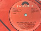 SIOUXSIE & THE BANSHEES - Metal Postcard - IRISH PRESS 7