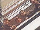 Beatles . 1962-1966 . nm . Capitol 2 LP