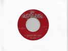 Doo-Wop The Robins 