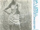 Nina Lizell - Sommaren jag aldrig glömt (rar swedish single)