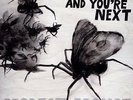 No One's First & You're Next [VINYL] Modest Mouse Vinyl