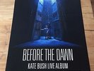 KATE BUSH -ORIGINAL PROMO POSTER - BEFORE THE DAWN - 50x70 CM (for NEW 4LP)