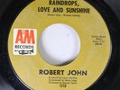 Hear  Northern Soul 45 Robert John - Raindrops, Love And Sunshine / Wh