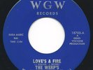 Hear? The Werp's ?– Love's a Fire / Shades of Blue 1967 Garage VG+ Vinyl 7”45RPM