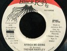 Trevor Hartley - Africa We Going JA Black Roots 7