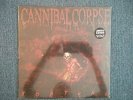 CANNIBAL CORPSE - Torture - CLEAR/RED SPLATTERS LP (LTD 500) - NEW & SEALEDTo