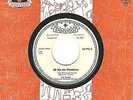 Musterplatte / Promo Ted Herold Ich bin ein Wanderer / Hula moon baby
