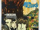 Seeds 