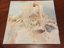 Pale Saints - In Ribbons - Vinyl LP - 4AD - Shoegaze