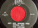 The Leaves, Hey Joe, Where You Gonna Go? First Press, Different Version, Garage