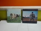 LP PINK FLOYD   -  ATOM HEART MOTHER  -  DELICATE SOUND OF THUNDER