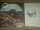 Grateful Dead Wake of the Flood, Original 1973 white label Vinyl Record album LP