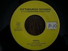 MAD MIKE SURF  LUCKY LEGIONNAIRES  pinball  PITTSBURGH SOUNDS  CLEAN & GREAT