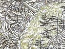 CHAD VANGAALEN - DIAPER ISLAND NEW VINYL