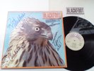 Blackfoot - Marauder - UK 1981 Atco vinyl LP SIGNED