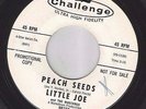 LITTLE JOE MUSTANGS peach seeds CHALLENGE surf PROMO 45 LISTEN