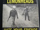 Lemonheads - Hate Your Friends LP VG+ TAANG 15 1st 1987 Stereo Vinyl Record