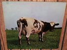 PINK FLOYD   ATOM HEART MOTHER LP   NEAR MINT ORIGINAL PRESS