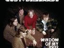 CUBY + BLIZZARDS - Window Of My Eyes: Their Sixties 45s - 2 LP (red) Pseudonym