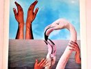 Herbie Hancock (1980 Promo Cleaned LP Playtested JC36578 1st Pressing) Mr. Hands