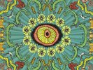 HANDSOME FAMILY, The - Wilderness - Vinyl (LP box)