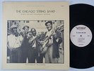 CHICAGO STRING BAND Testament JOHNNY YOUNG Carl Martin BIG JOHN WRENCHER blues