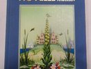 novissime novelle di andersen andersen h. christian 9788820305154