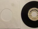 The Hollies/ The Beatles  Singles Sampler aus Samml.  Stop ...  Italien PROMO