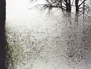 For Emma Forever Ago [Vinyl]