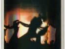 NINE INCH NAILS - NIN : BACKSTAGE PASS - PERFORMANCE 2007 - VIP
