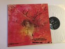 LP / DOLDINGER'S MOTHERHOOD / KRAUT / MONSTER / EX / ORIG GERMAN