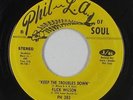 Roots Reggae 45 - Flick Wilson - Keep The Troubles Down - Phil-L.A. Of Soul mp3