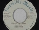 Dancehall Reggae 45 - White Mice - Youths Of Today - Incredible Music - mp3