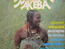 Miriam Makeba Country Girl NEAR MINT Disques Espérance Vinyl LP