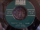 DAVID GATES 1960s TULSA, OKLA DOO-WOP/ROCKABILLY 45RPM MALA RECORDS