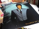 FANCY - Flames Of Love ? 12