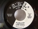 Deep Soul/Funk 45 LeVERT ALLISON My All Is You S.B.I. Ex++ HEAR